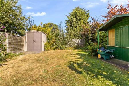 Garden (4)