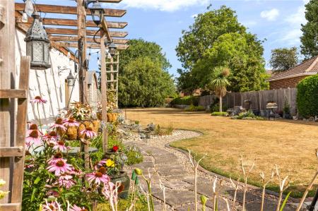 Garden (2)