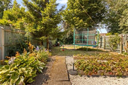 Garden (4)