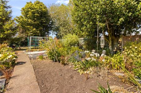 Garden (3)