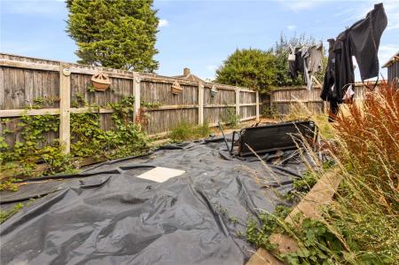 Garden (2)