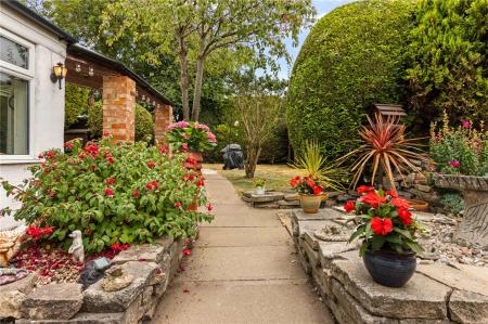 Rear Garden (2)