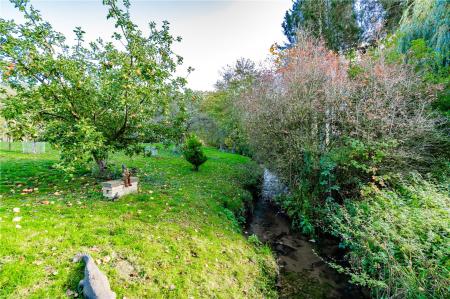 Garden (5)