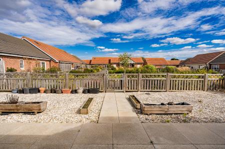 Garden (2)
