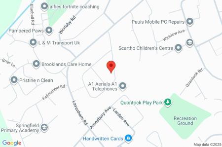 Google Maps Image