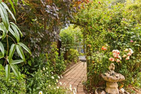 Garden (2)