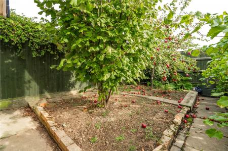 Garden (4)
