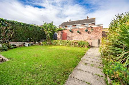 Garden (2)