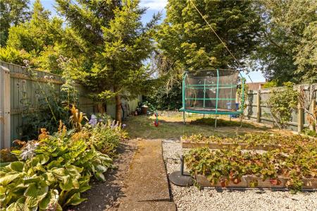 Garden (4)