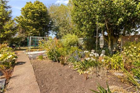 Garden (3)