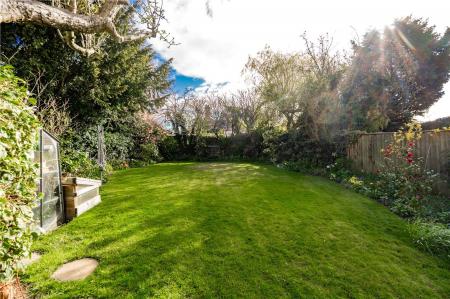 Garden (2)