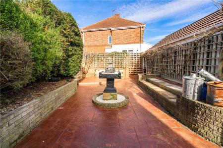 Garden (2)