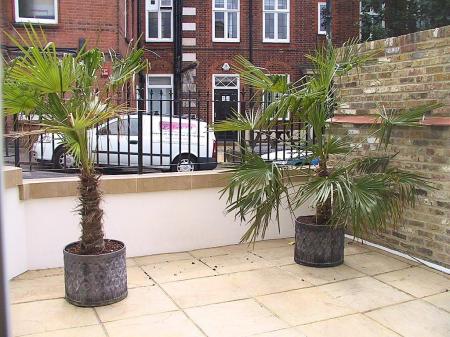 1 King Henry Patio.jpg