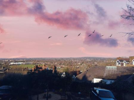 Screenshot 2025-01-31 104357.png