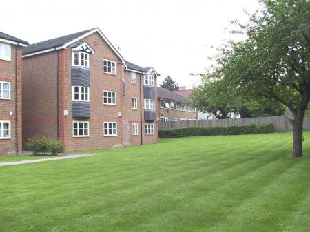 Blenheim rear green.jpg