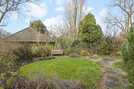 Communal Garden