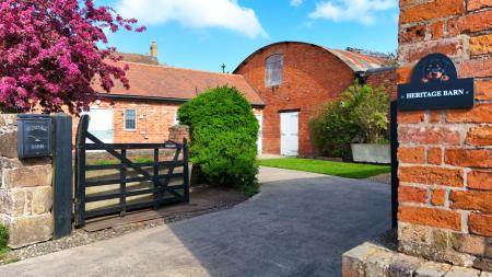 Media image 15