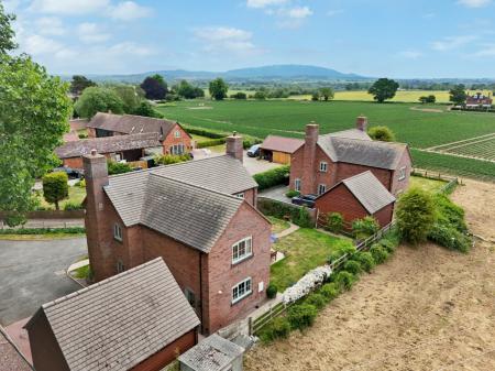 Media image 34