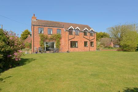 Media image 36