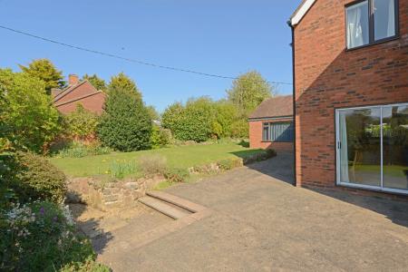 Media image 37