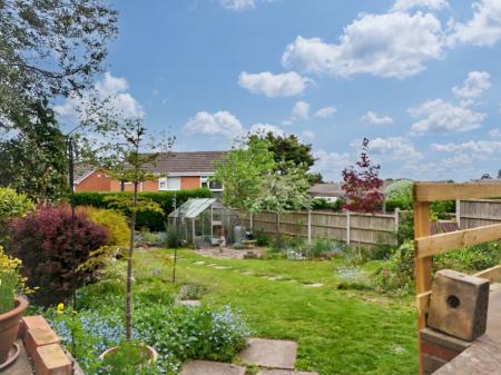 Media image 23