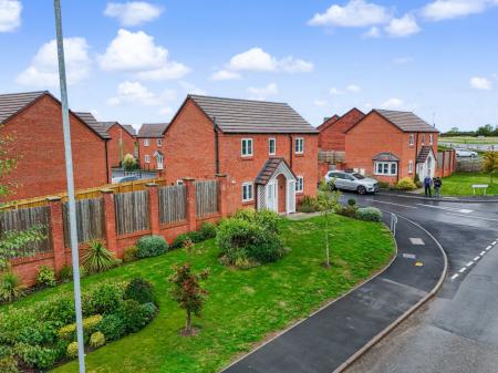 Media image 29