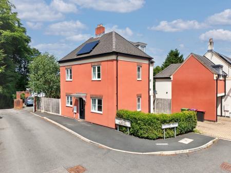 Media image 28
