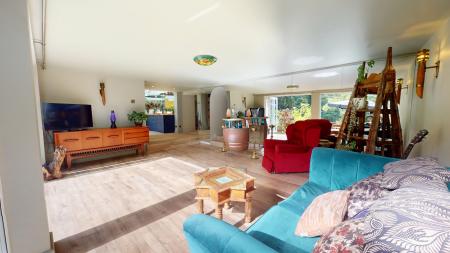 Media image 10