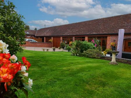 Media image 03
