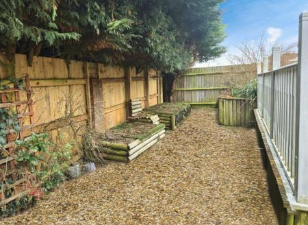 Media image 24