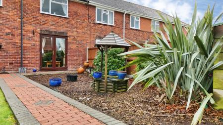 Media image 25