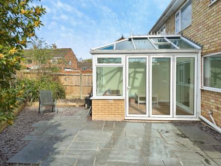 Media image 20