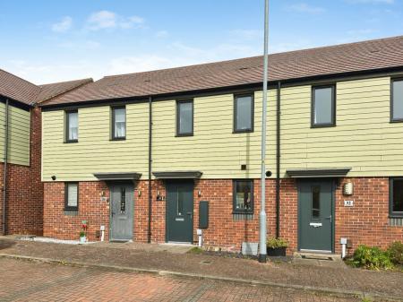 Media image 17