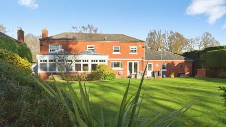 Media image 35