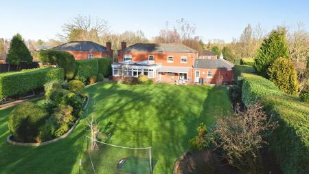 Media image 39