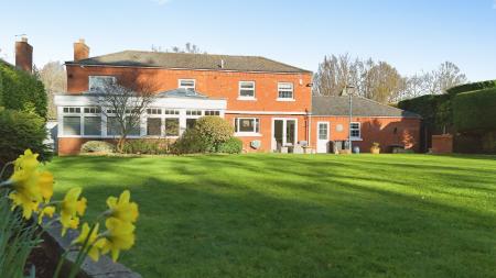 Media image 36