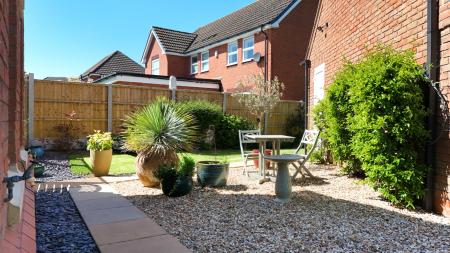 Media image 39