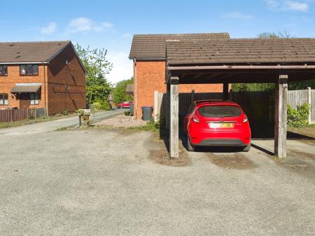 Media image 13