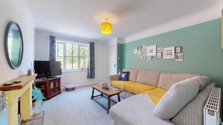 Media image 02