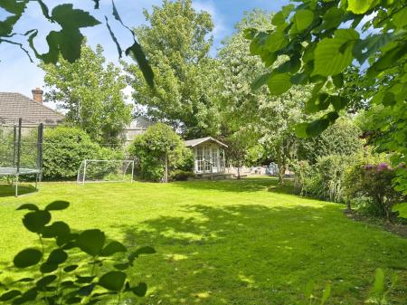Media image 15