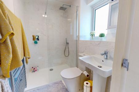 Media image 12