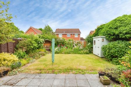Media image 16