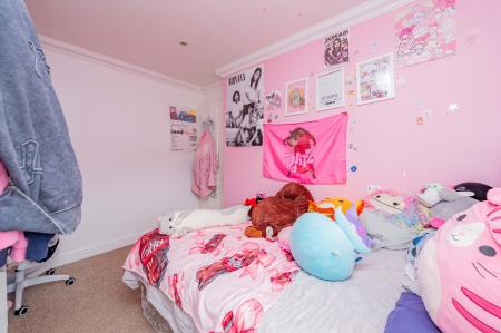 Media image 13