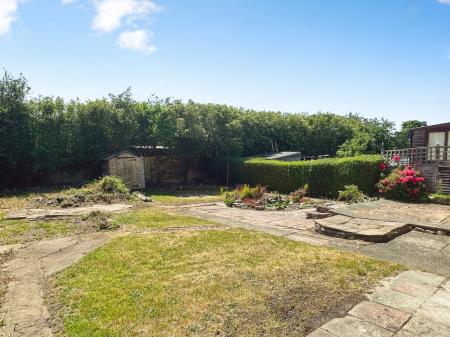 Media image 13