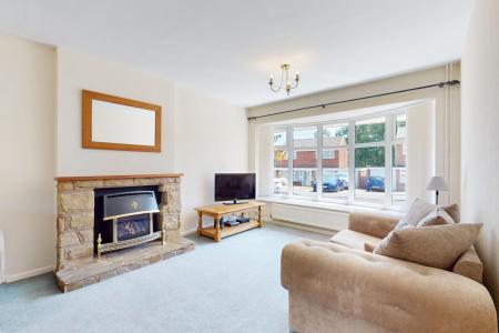 Media image 05
