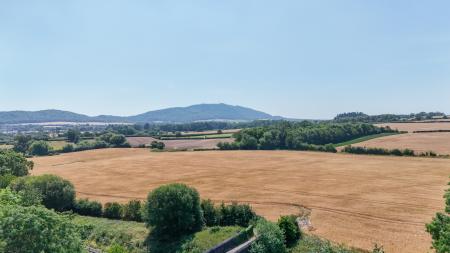 Media image 28