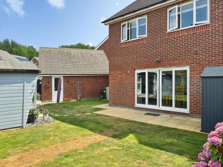 Media image 15