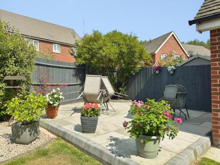 Media image 16