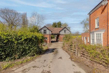Media image 19