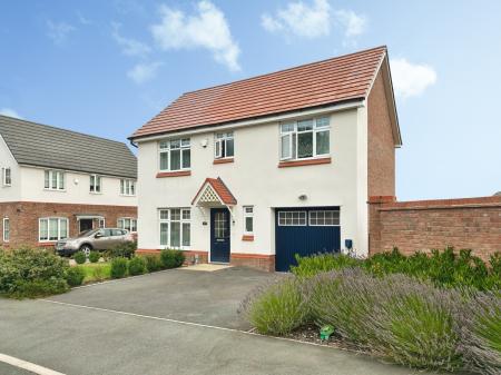 Media image 17